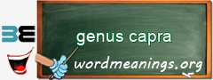 WordMeaning blackboard for genus capra